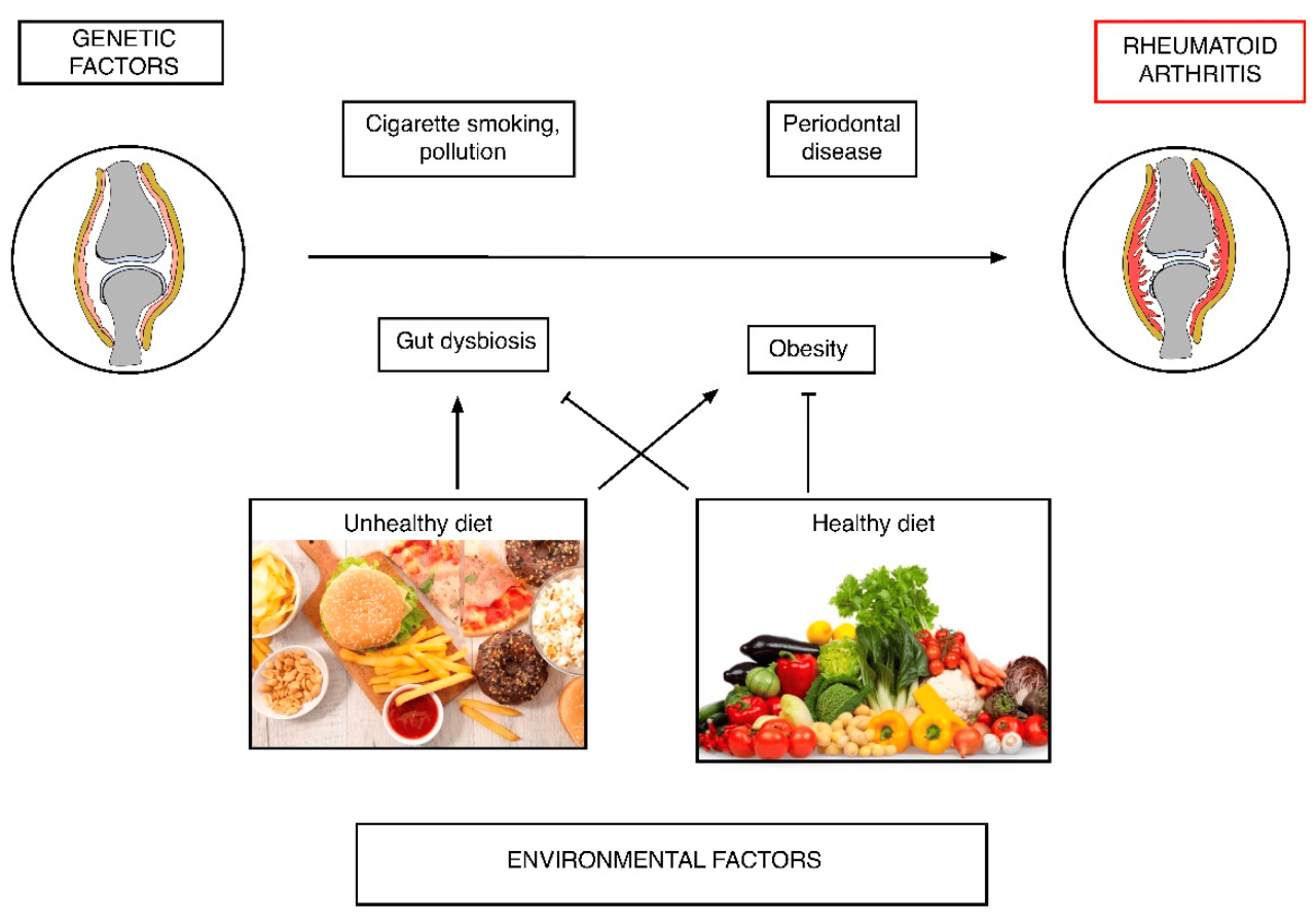 Rheuma gesundheit und ernährung