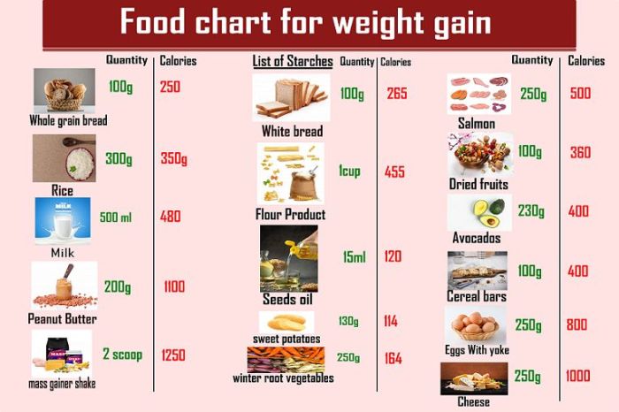 Gaining belly sahilfitness femina underweight